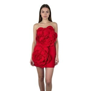 Strapless Mini Dress Size Small Red Eclectic Floral 3D Floral Holiday Party HoCo